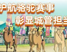 工作动态 | 护航骆驼赛事 彰显城管担当