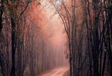 虎(hǔ)牙直播收罚单，林(lín)松(sōng)涛节衣缩食