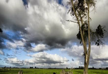 中国男乒让二追(zhuī)三逆转日本队