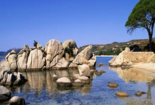 中国男乒让二追(zhuī)三逆转日本队